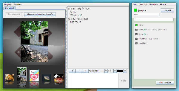 Screenshot of the application